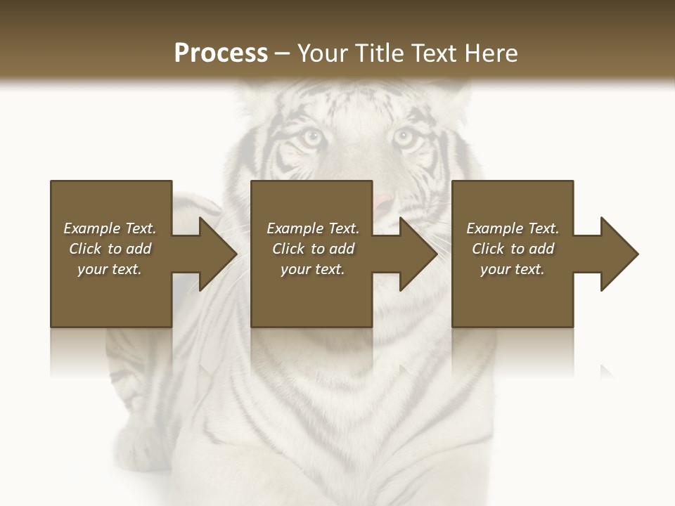 Animals Wild Isolated PowerPoint Template