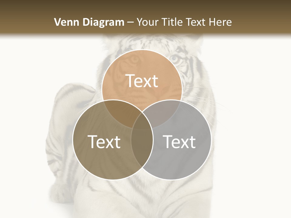 Animals Wild Isolated PowerPoint Template