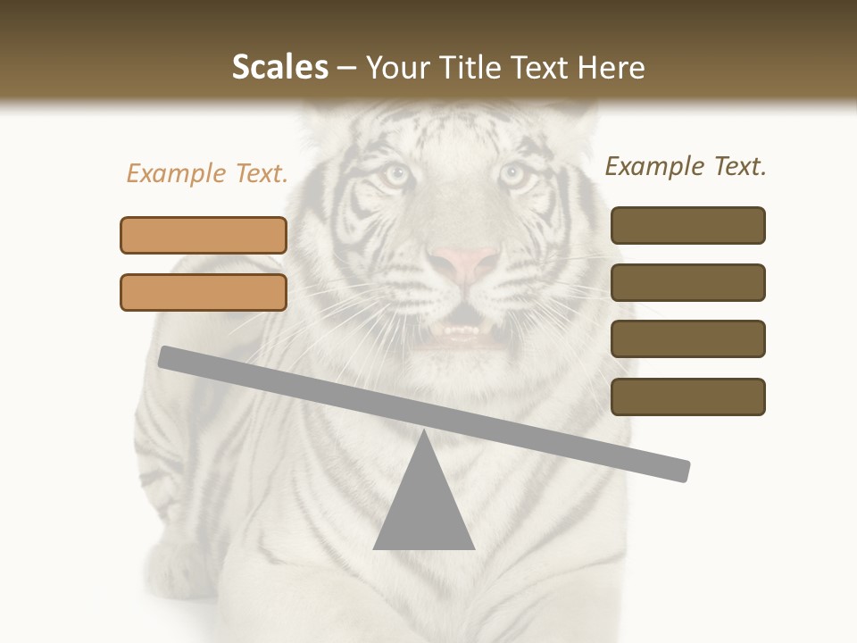 Animals Wild Isolated PowerPoint Template