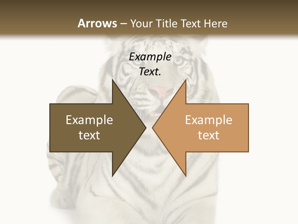 Animals Wild Isolated PowerPoint Template