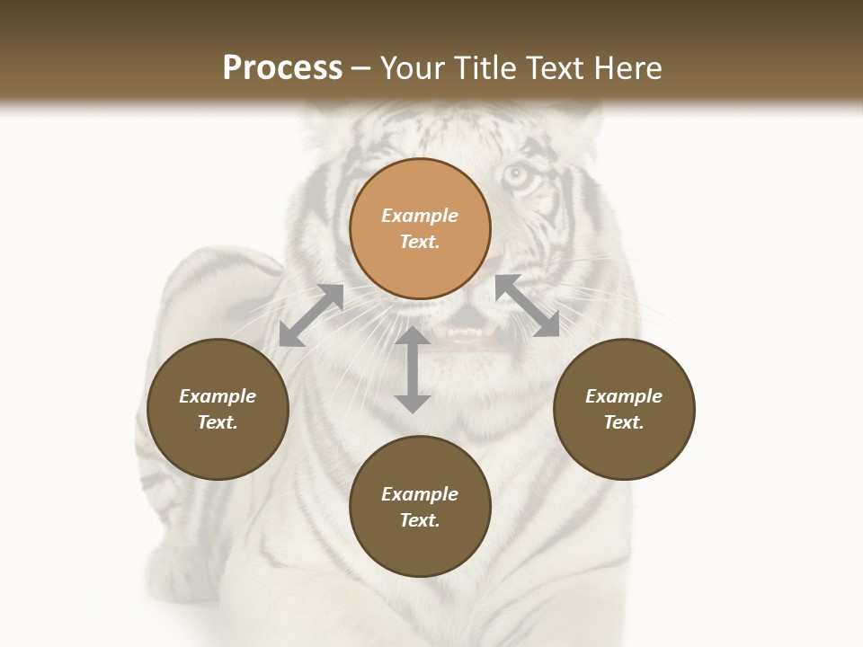 Animals Wild Isolated PowerPoint Template