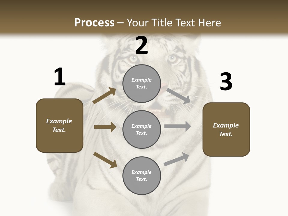 Animals Wild Isolated PowerPoint Template