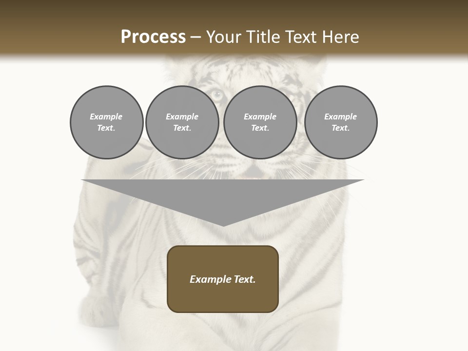 Animals Wild Isolated PowerPoint Template