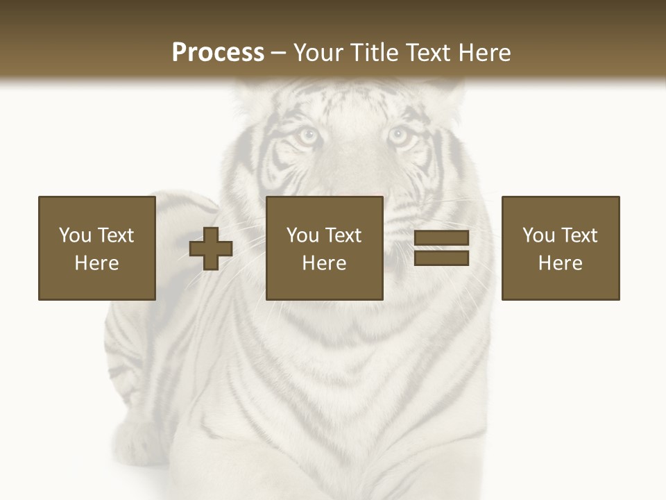 Animals Wild Isolated PowerPoint Template