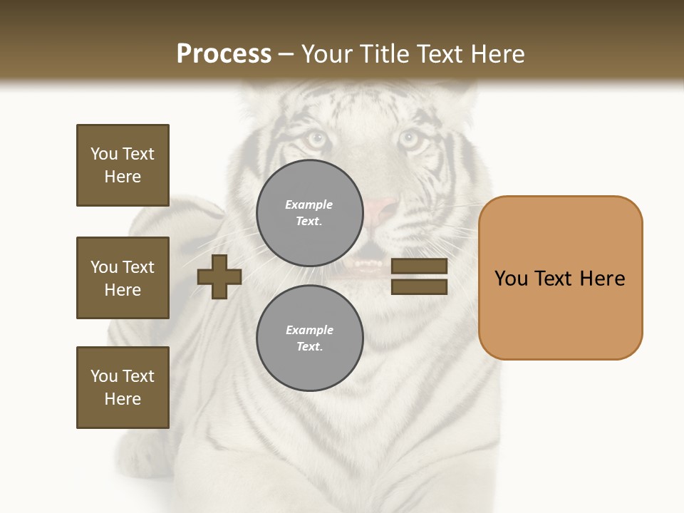 Animals Wild Isolated PowerPoint Template