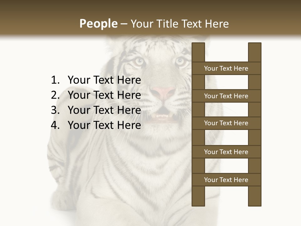 Animals Wild Isolated PowerPoint Template