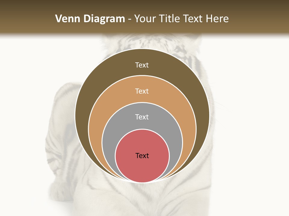 Animals Wild Isolated PowerPoint Template