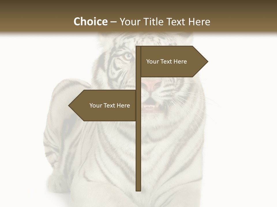 Animals Wild Isolated PowerPoint Template