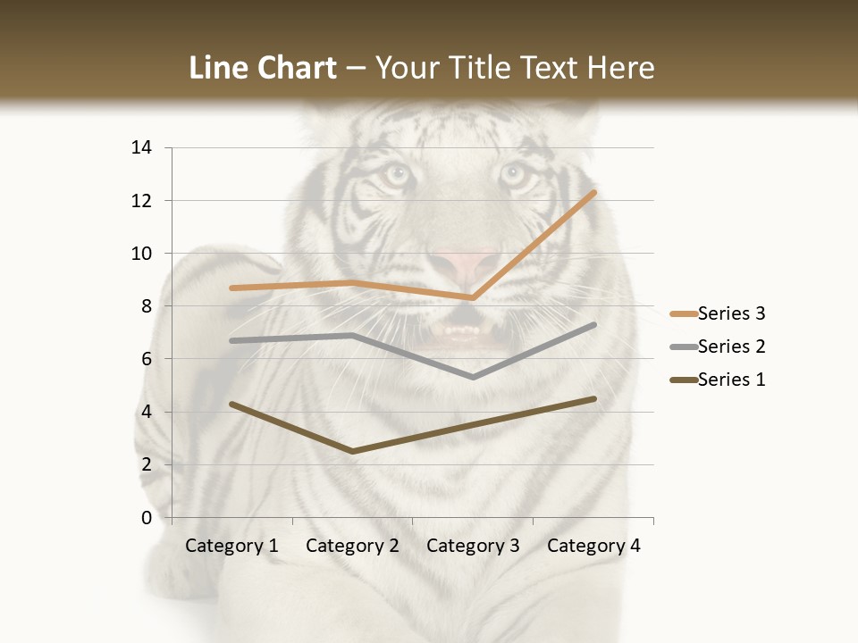 Animals Wild Isolated PowerPoint Template