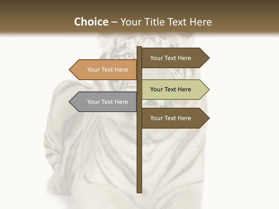 Animals Wild Isolated PowerPoint Template