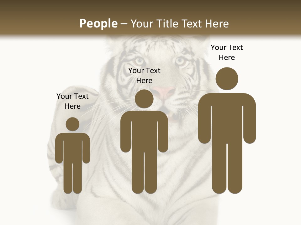 Animals Wild Isolated PowerPoint Template