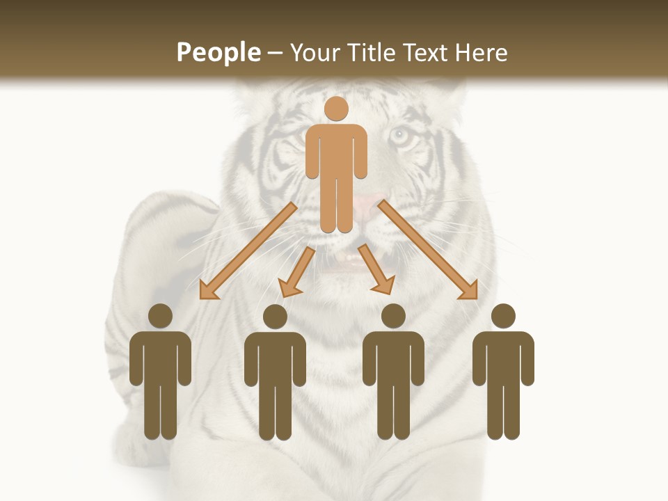 Animals Wild Isolated PowerPoint Template