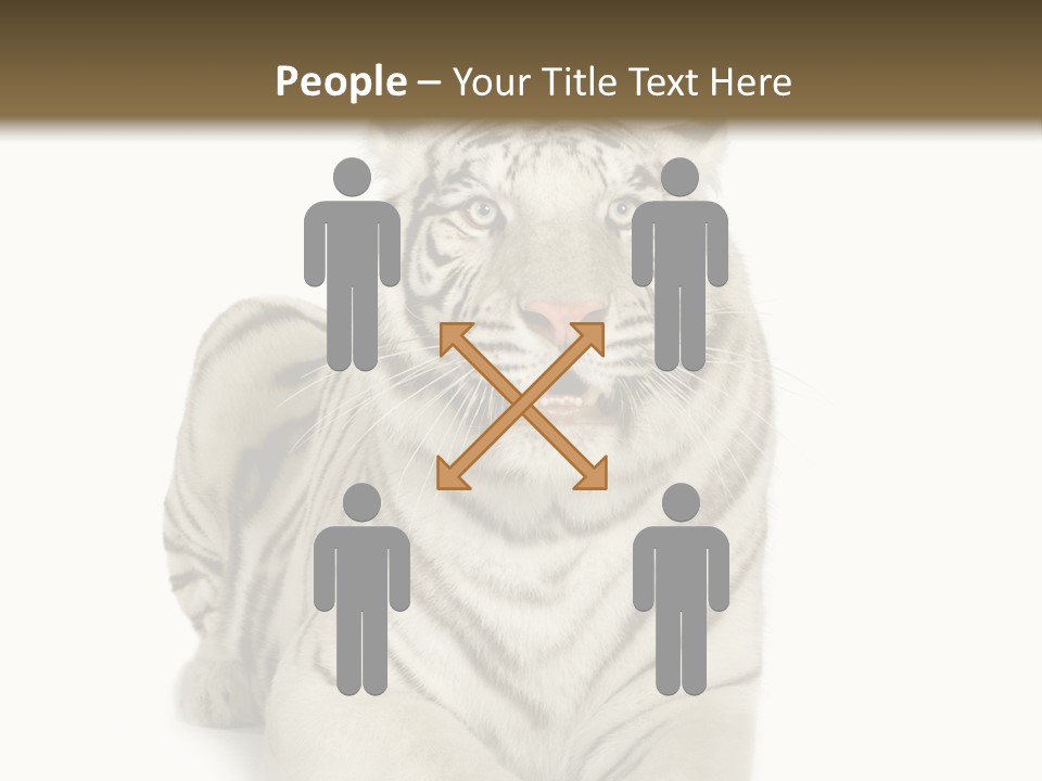 Animals Wild Isolated PowerPoint Template