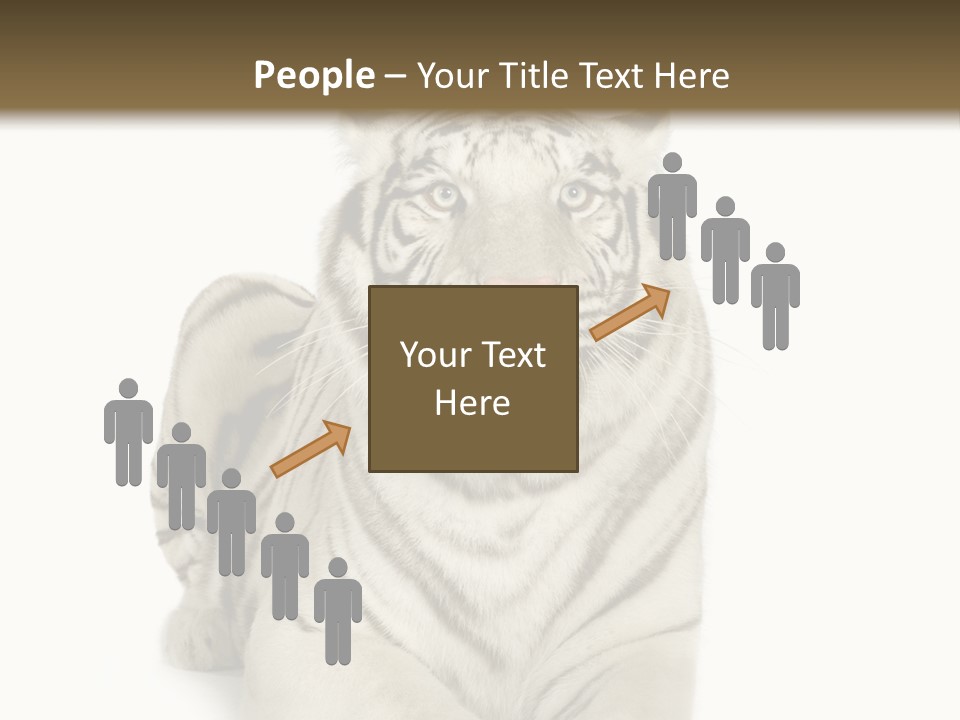 Animals Wild Isolated PowerPoint Template