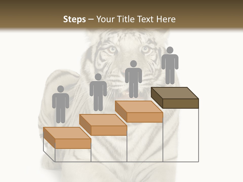 Animals Wild Isolated PowerPoint Template