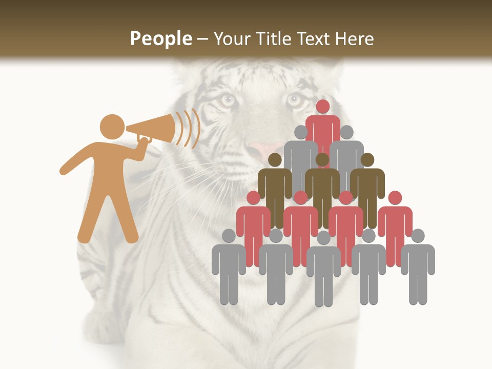 Animals Wild Isolated PowerPoint Template