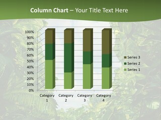 Resilience Confusion Mind PowerPoint Template