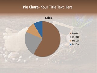 Table Hen Chicken PowerPoint Template