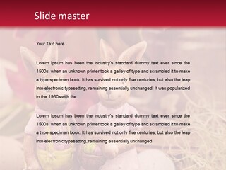 Easter Egg Bright Wood PowerPoint Template