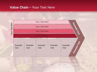 Easter Egg Bright Wood PowerPoint Template