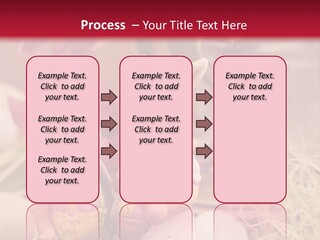 Easter Egg Bright Wood PowerPoint Template