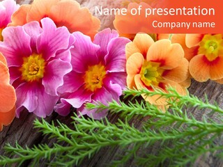 Orange Pflanzen Osterblumen PowerPoint Template