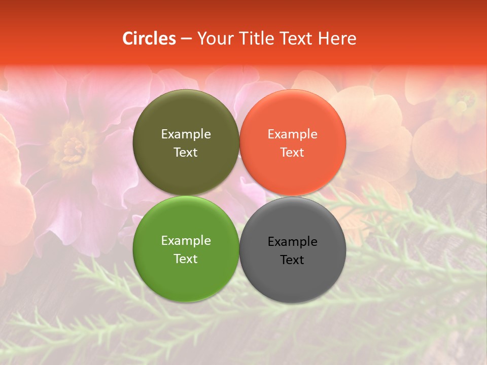 Orange Pflanzen Osterblumen PowerPoint Template