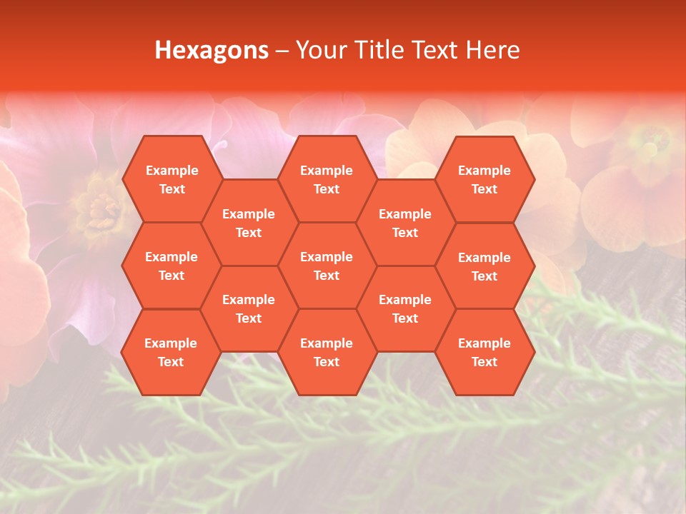 Orange Pflanzen Osterblumen PowerPoint Template