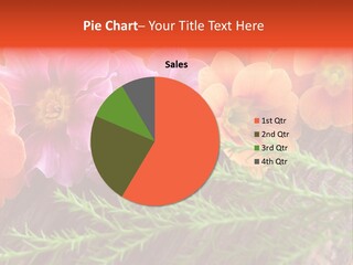 Orange Pflanzen Osterblumen PowerPoint Template