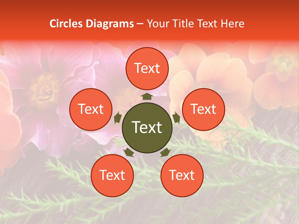 Orange Pflanzen Osterblumen PowerPoint Template