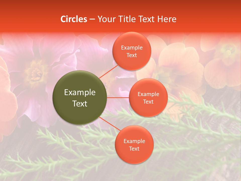 Orange Pflanzen Osterblumen PowerPoint Template