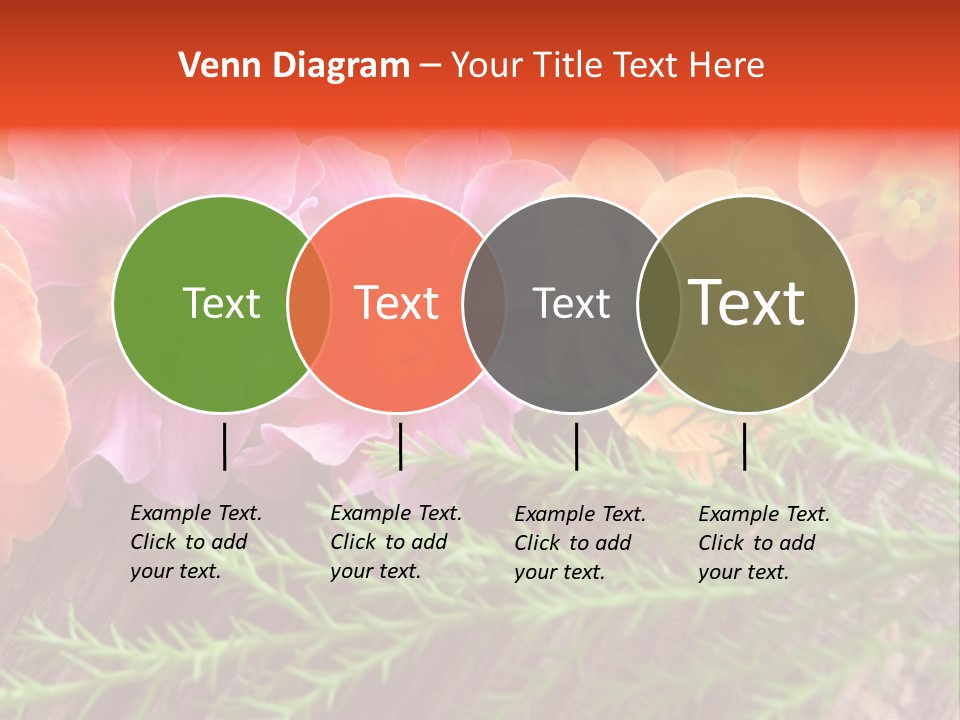 Orange Pflanzen Osterblumen PowerPoint Template