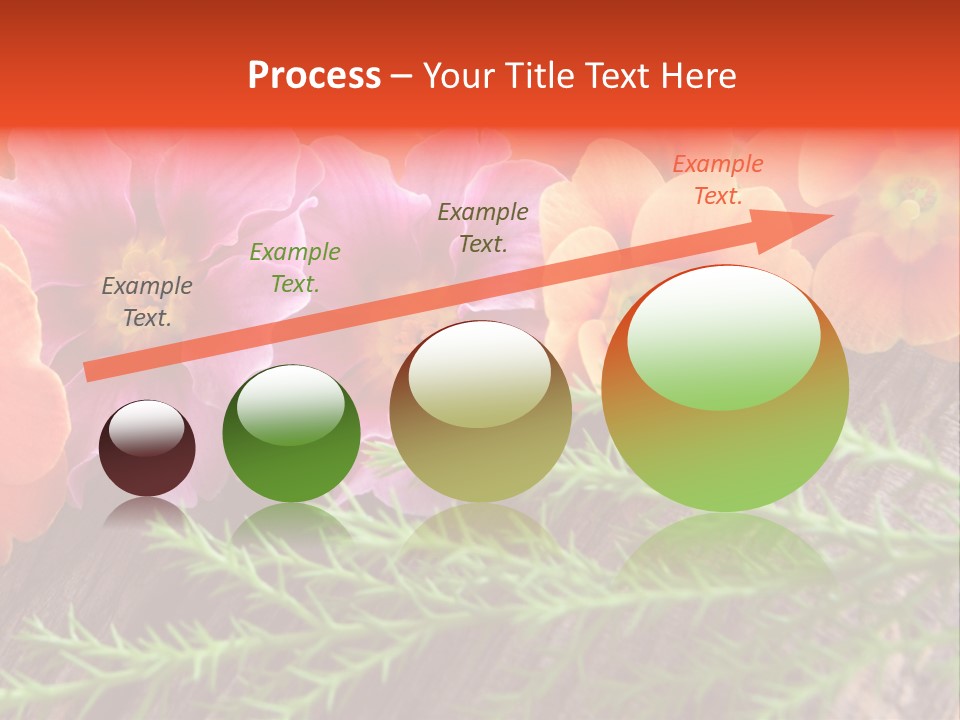Orange Pflanzen Osterblumen PowerPoint Template