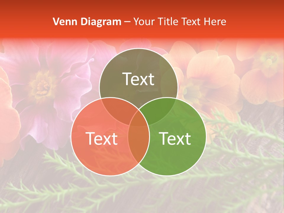 Orange Pflanzen Osterblumen PowerPoint Template