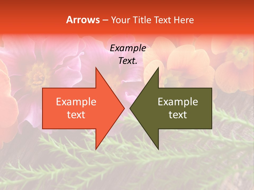 Orange Pflanzen Osterblumen PowerPoint Template