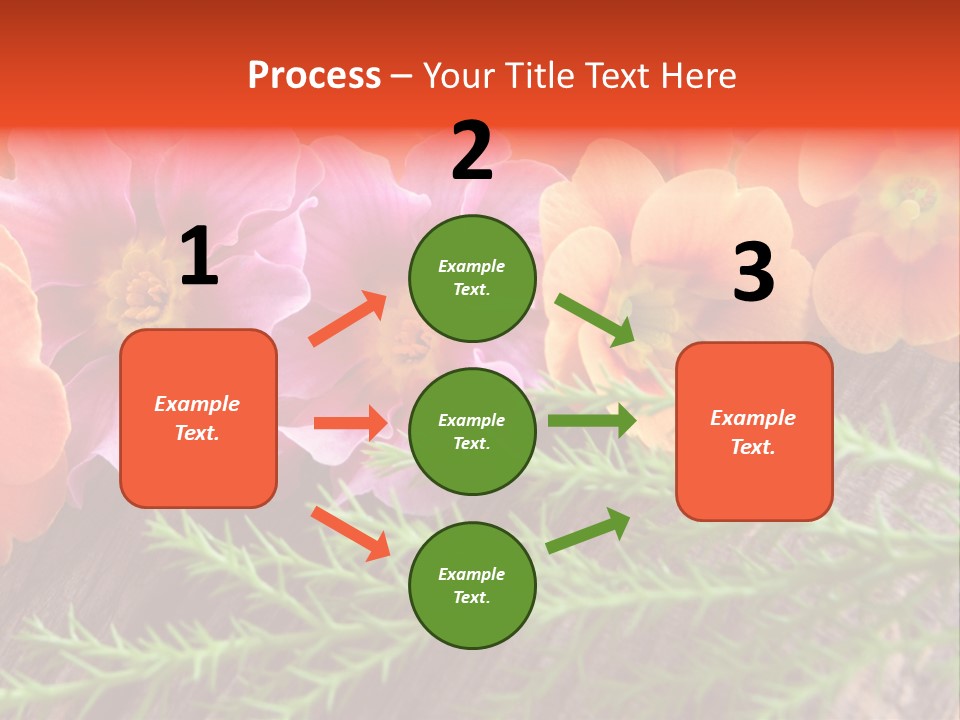 Orange Pflanzen Osterblumen PowerPoint Template