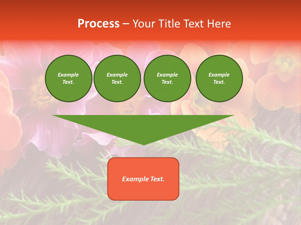 Orange Pflanzen Osterblumen PowerPoint Template