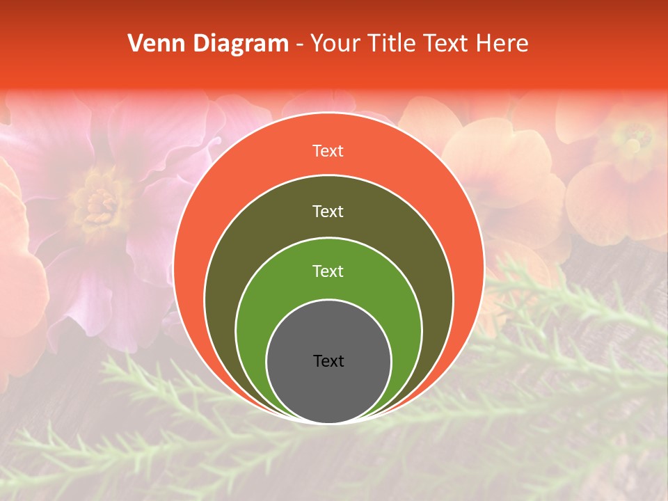 Orange Pflanzen Osterblumen PowerPoint Template