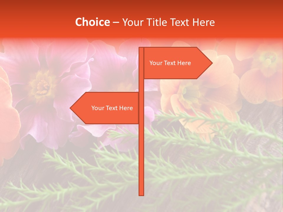 Orange Pflanzen Osterblumen PowerPoint Template