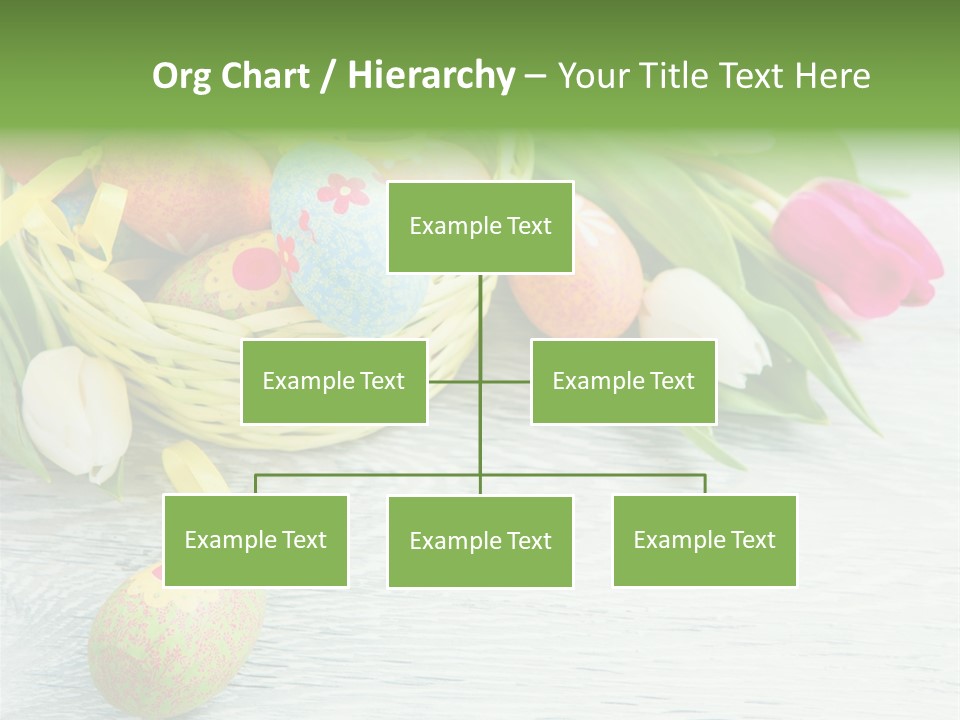 Dekoration Primeln Fruhlingsdekoration PowerPoint Template