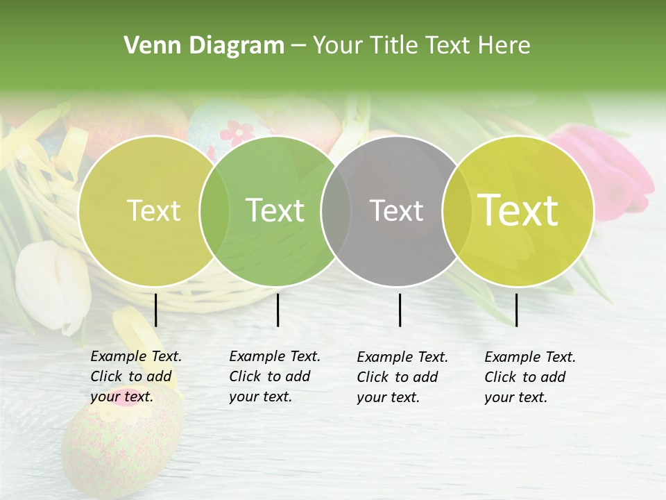 Dekoration Primeln Fruhlingsdekoration PowerPoint Template