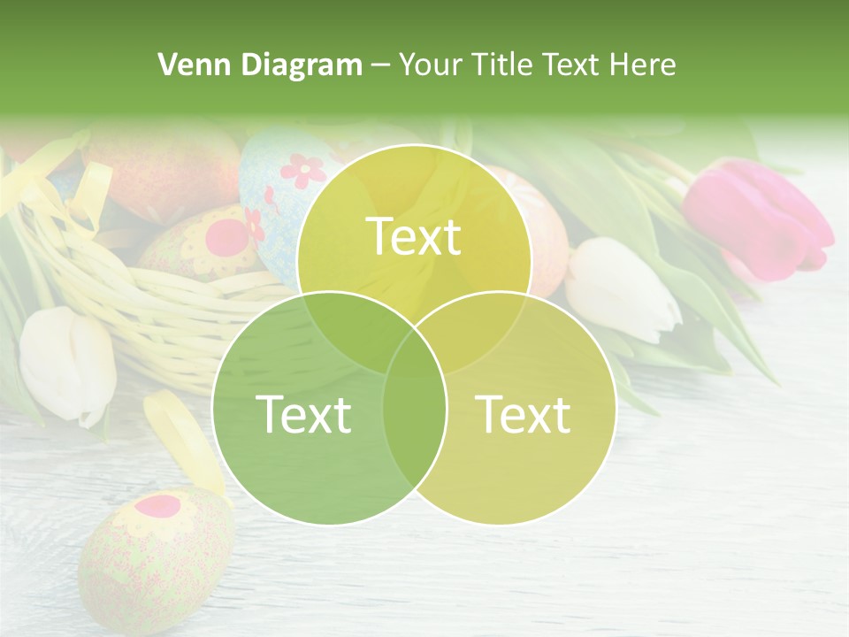 Dekoration Primeln Fruhlingsdekoration PowerPoint Template