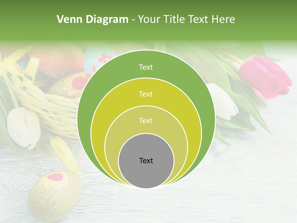 Dekoration Primeln Fruhlingsdekoration PowerPoint Template