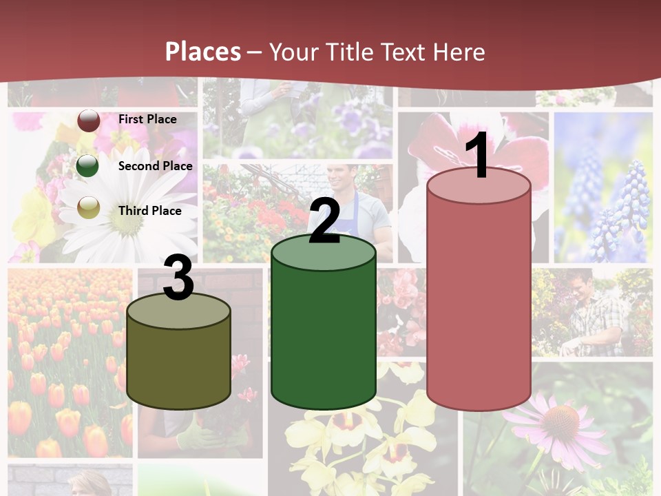 Garden Dasy Person PowerPoint Template