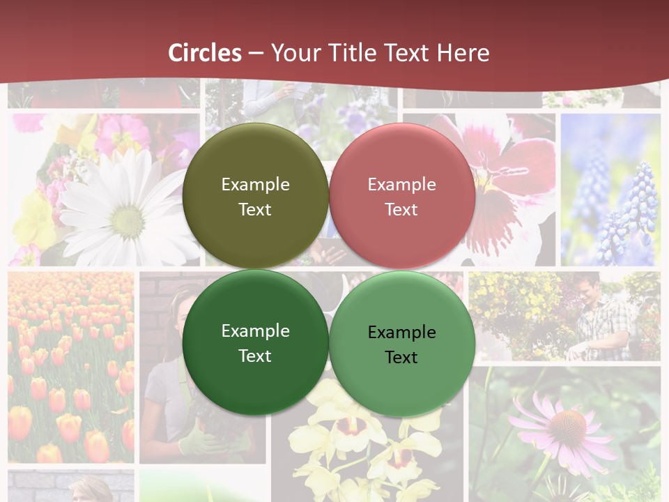 Garden Dasy Person PowerPoint Template