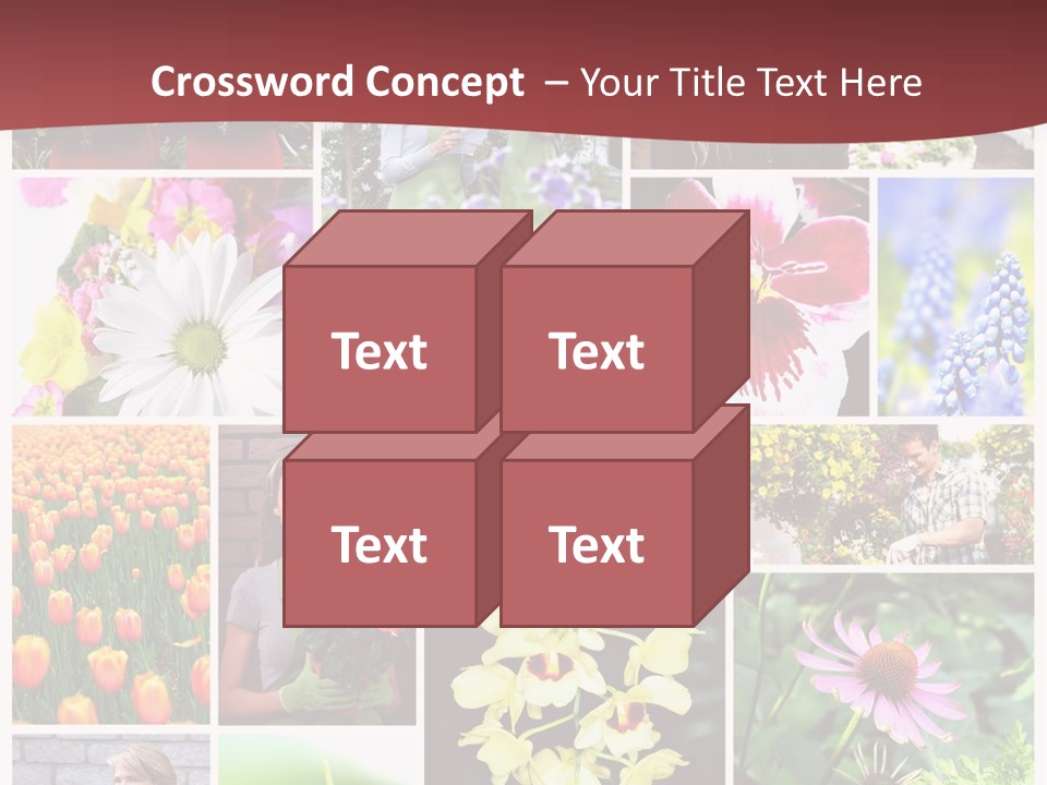 Garden Dasy Person PowerPoint Template