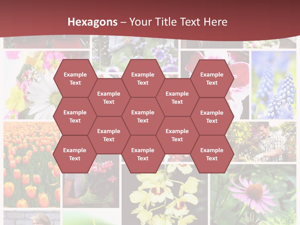 Garden Dasy Person PowerPoint Template