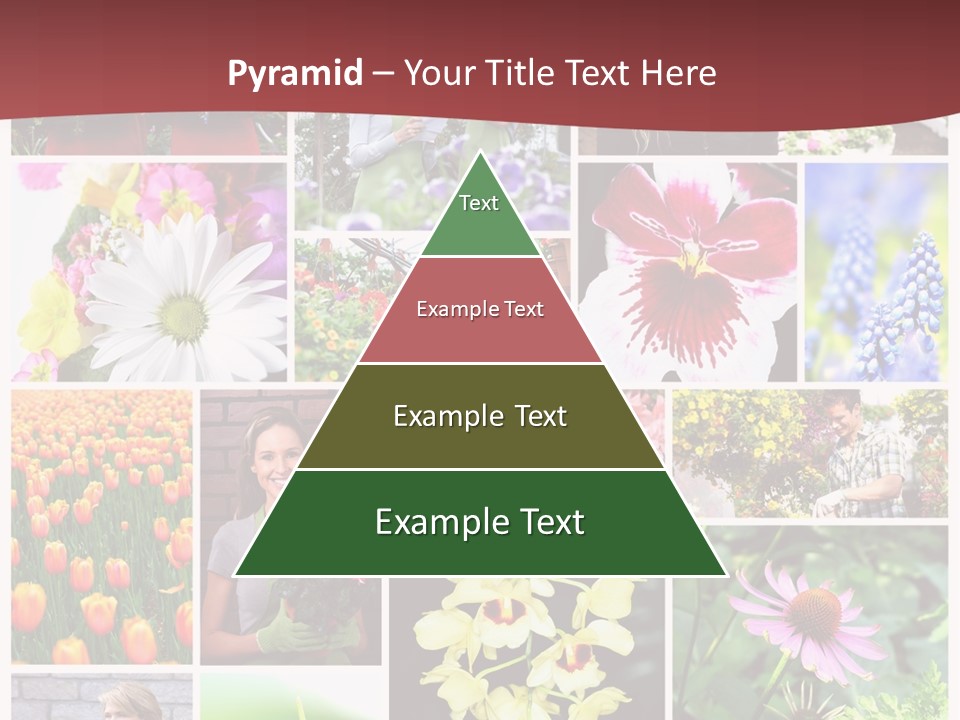 Garden Dasy Person PowerPoint Template