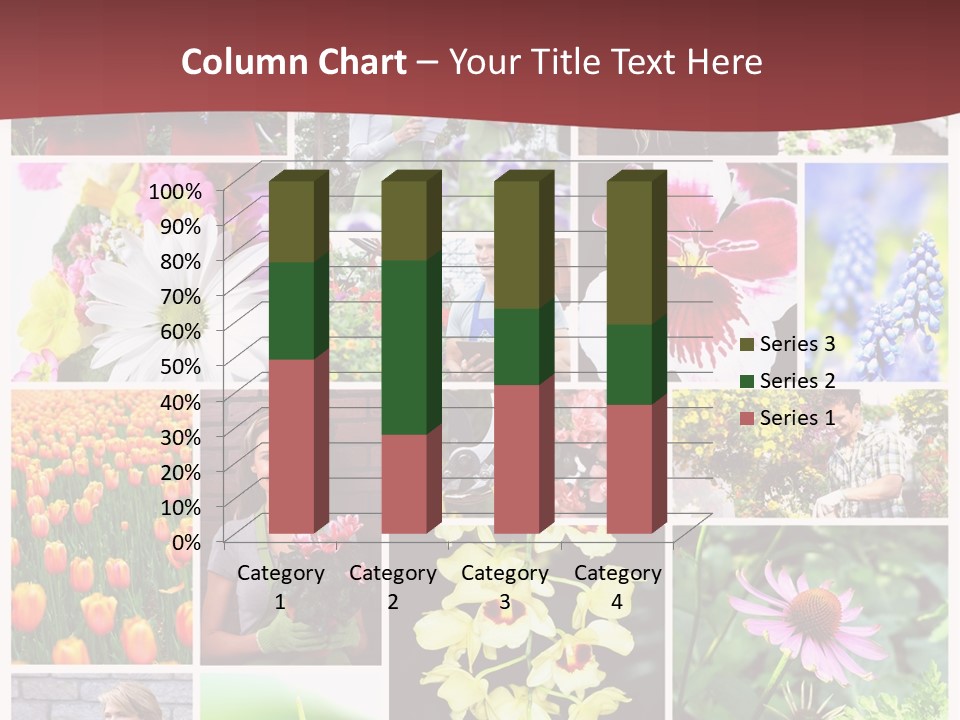 Garden Dasy Person PowerPoint Template