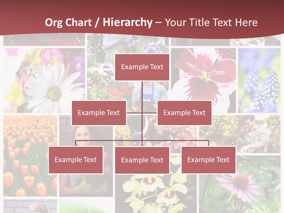 Garden Dasy Person PowerPoint Template